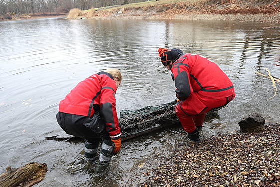 Archeologové spolu s potápi vyzvedli z rybníku kusy vydlabané lod nalezené...