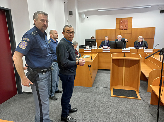 Řidič kamionu Florin Szilágyi u krajského soudu.