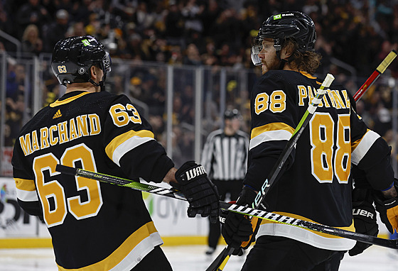 David Pastrák (88) a Brad Marchand (63) slaví gól Boston Bruins.