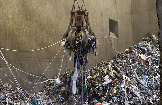 Po osmi měsících je v Česku znovu ptačí chřipka. V jižních Čechách zabila 10 slepic