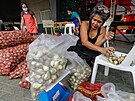 Ceny cibule na Filipínách skokov rostou (10. ledna 2023)