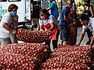 Ceny cibule na Filipínách skokov rostou (10. ledna 2023)
