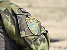 Voják AR na misi eFP v Litv
