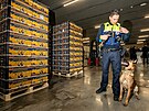 Ukázka práce policejního psa v Beverenu u Antverp v Belgii, kde se konala...