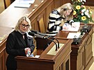 Ministryn obrany Jana ernochová ve Snmovn ped hlasováním o nedve vlád