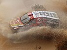 Martin Prokop bhem deváté etapy Rallye Dakar