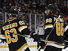 David Pastrňák (88) a Brad Marchand (63) slaví gól Boston Bruins.