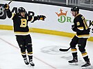 David Pastrák (vlevo) a Pavel Zacha slaví gól Boston Bruins.
