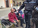 Mstt strnci kontroluj v ulicch Plzn dodrovn vyhlky o zkazu pit...