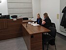 Iva Wastlov� (sed�c� z�dy) u Okresn�ho soudu Plze�-m�sto. Za t�r�n� zv��at a...