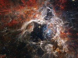 Sílu NIRCamu ukazuje zábr oblasti, kde se rodí hvzdy, v mlhovin Tarantule....