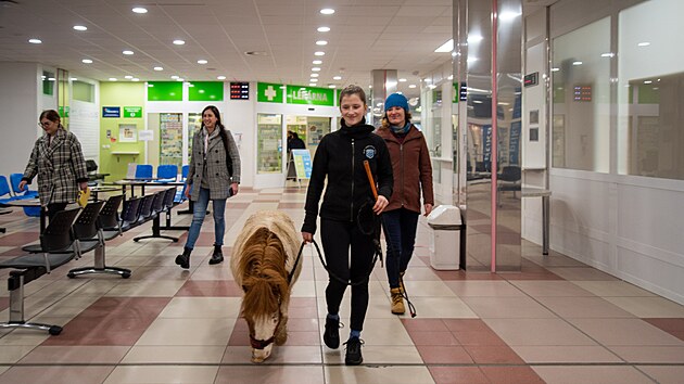 Terapie zvaty m skvl vsledky ve Fakultn nemocnici Olomouc, kde je sousti lby dlouhodob nemocnch a handicapovanch. Na Oddlen nsledn intenzivn pe a dlouhodob intenzivn oetovatelsk pe proto chod ponk Kulika.