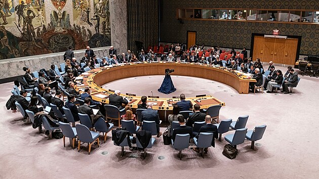 Setkn Rady bezpenosti OSN kvli situaci v Palestin. (5. ledna 2023)