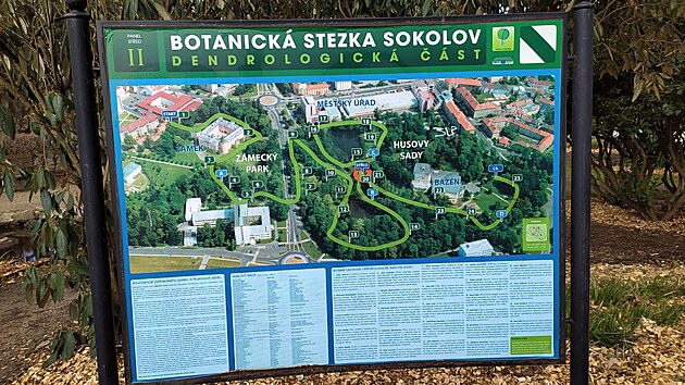 Sokolovsk� m�stsk� parky �ek� ozdravn� k�ra.