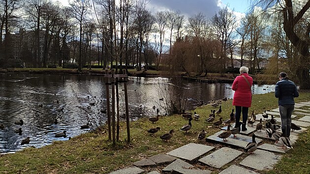 Sokolovsk� m�stsk� parky �ek� ozdravn� k�ra.