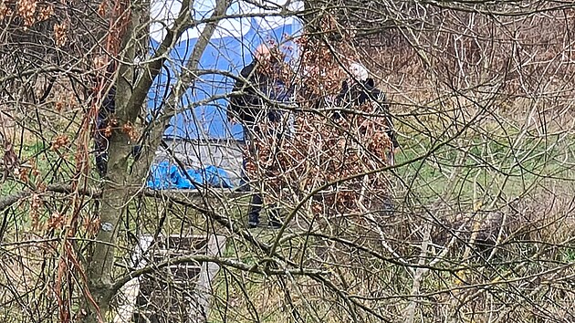 V ece v Plzni plavalo musk tlo. Kriminalist zjiuj, jak a kdy mu zemel.