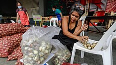 Ceny cibule na Filipínách skokově rostou (10. ledna 2023)