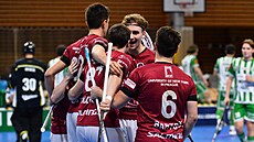 Spar�an�tí florbalisté oslavují gól.