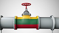 ilustra�ní snímek