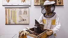 Výstava ke 120. výroí zaloení perovského velaského spolku návtvníkm...