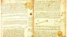 Mal�vky do n�j toti� zaznamenával Leonardo da Vinci, co� jeho hodnotu zvý�ilo...