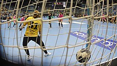 Dominika Müllnerová z Mostu inkasuje gól v utkání Ligy mistry proti Brestu.