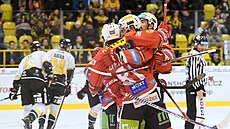 Hokejisté Pardubic oslavují vítzný gól v extraligovém duelu s Litvínovem.