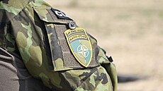 Voják AR na misi eFP v Litv