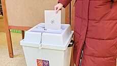 Prezidentské volby ve Zlíně. (leden 2023)