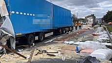 Provoz na D1 u Průhonic komplikuje nehoda dvou nákladních vozidel. (10. ledna... | na serveru Lidovky.cz | aktuální zprávy