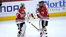 Alex Stalock st�ídá Petra Mrázka.