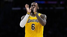LeBron James z Los Angeles Lakers si u�ívá vedení v zápase.