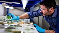 Kyslík z �as by mohl napomoct �i�t�ní vody nebo být základem výroby biopaliva....