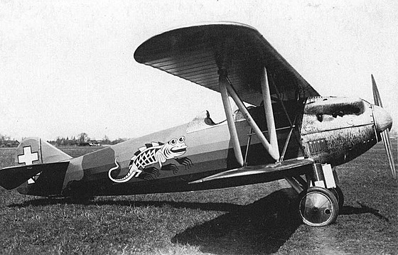 Šmolík Š.20L v barvách litevského letectva. Drak namalovaný na trupu letounu...