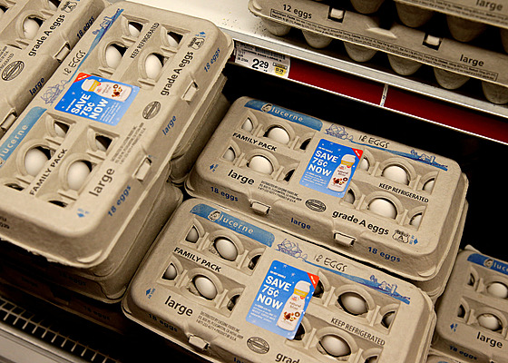 ilustra�ní snímek