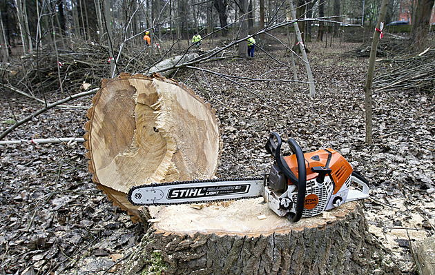 Úklidem nepoádku po bezdomovcích a kácením náletových a nezdravých devin...