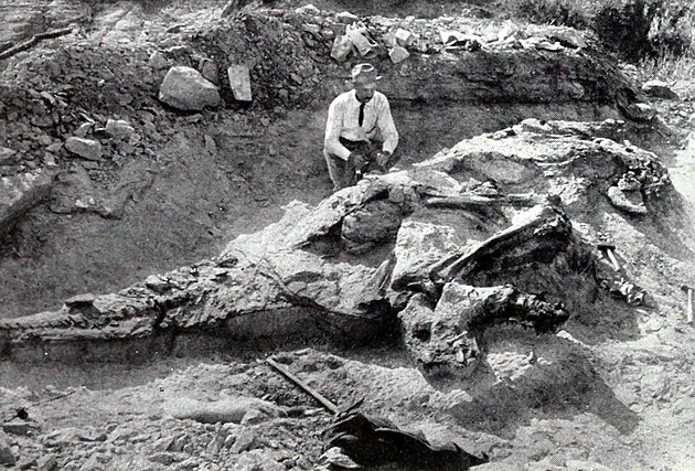 Býložravec s přilbou pomohl odhalit proměny koster kachnozobých dinosaurů