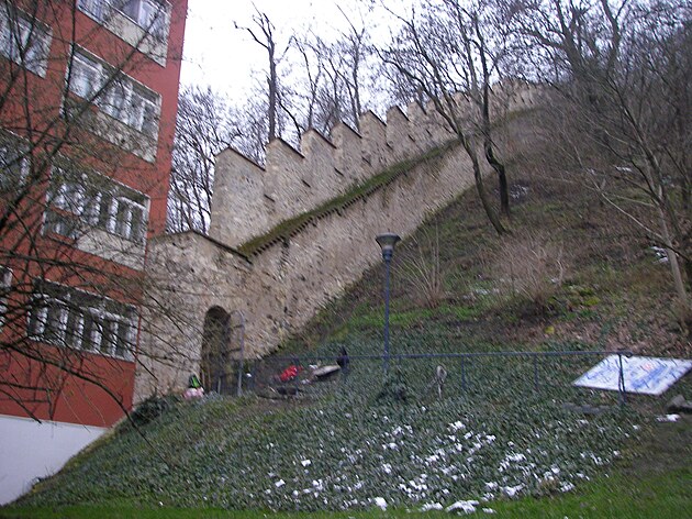 <p>Jak Hladová zeď tak kvetoucí stromy v parku pod Petřínem přitahují pozornost návštěvníků Prahy 1, Malé Strany v zimním čase.</p>