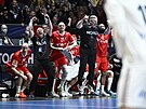 Jásot dánských házenká ve finále mistrovství svta.