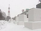 Kvli mrazu zemelo v Japonsku u pt lidí, v Koreji sníh zkomplikoval dopravu