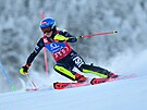 Amerianka Mikaela Shiffrinová bhem druhého kola nedlního slalomu ve...