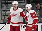 Dominik Kubalík (uprosted) se ze spoluhrái z Detroit Red Wings raduje z gólu.