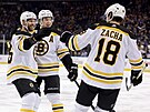 David Krejí, Charlie McAvoy a Pavel Zacha (zleva) oslavují gól Boston Bruins.