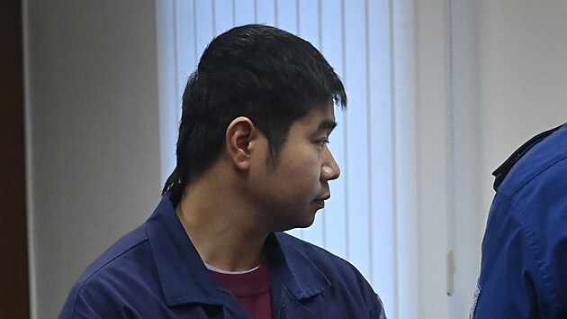 Před vrchním soudem v Olomouci stanul 24. ledna 2023 Hoang Anh Vu, který v roce 2021 ve vězeňské nemocnici zaútočil nůžkami na bývalého politika Davida Ratha, jenž si ve vězení odpykával trest.