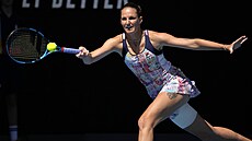 Karolína Plíková dobíhá míek bhem tetího kola Australian Open.