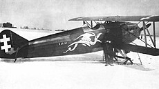 Šmolík Š.20L v barvách litevského letectva. V zimním období dostávaly tyto...