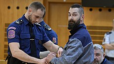 Patrik Tul u soudu odmítl obalobu z pronásledování éfa eské lékaské komory...