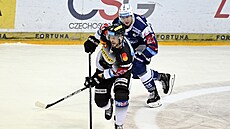Sparanský útoník Jan Buchtele operuje s kotouem ped brnnským forvardem...