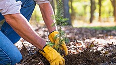 ilustra�ní snímek