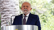 Brazilský prezident Luiz Inacio Lula da Silva (25. ledna 2023)